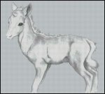 Baby Unicorn (image for) Baby Unicorn